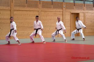 seibukan_pruefung_budokan_2016_020.jpg
