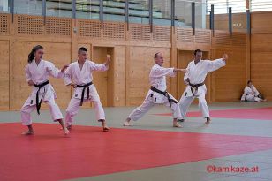 seibukan_pruefung_budokan_2016_024.jpg