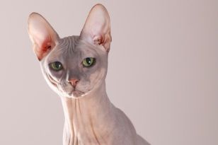 testbild-01.jpg
