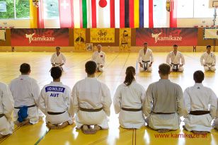 seibukan7_Internationales_Kamikaze_Sommercamp_2015_261.jpg