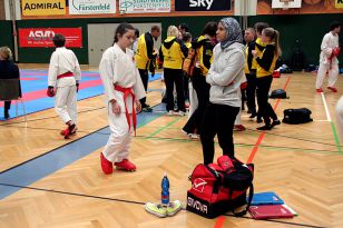 seibukan_19_Styrian_Open_2016_014.jpg