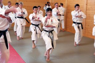 seibukan_2_OEKB_Tag_Trainerfortbildung_2010_007.jpg