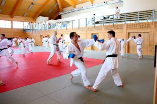 seibukan_2_OEKB_Tag_Trainerfortbildung_2010_018.jpg