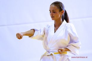 seibukan_5_Intern_Kamikaze_Sommercamp_Neuhofen_2013_076.jpg