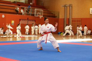 seibukan_Askoe_Landesmeisterschaft_in_Linz_Kirchdorf_2015_160.jpg