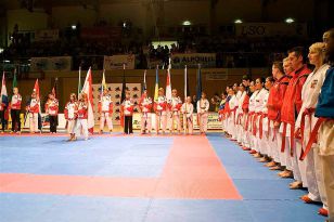 seibukan_Austrian_Open_Golden_League_2009_024.jpg