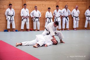 seibukan_Dan_Pruefung_im_Budokan_2014_023.jpg
