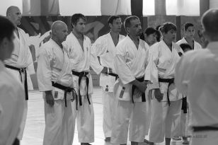 seibukan_KAMIKAZE_Sommercamp_Neuhofen_Krems_2012_113.jpg