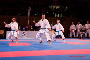 seibukan_Karate1_Premier_League_and_Youth_World Cup_Salzburg_2013_088.jpg