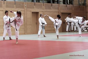 seibukan_Kyu_und_Dan_Pruefung_2014_014.jpg