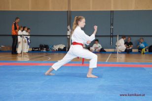 seibukan_Landesmeisterschaft_2016_041.jpg