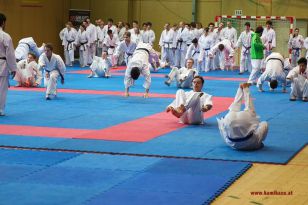 seibukan_Lehrgang_mit_Rafael_Aghayev_2013_029.jpg