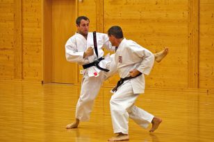 seibukan_OEKB_Danpruefung_2011_101.jpg