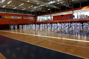 seibukan_OEKB_Tag_Wels_2011_003.jpg