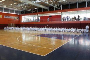 seibukan_OEKB_Tag_Wels_2011_086.jpg