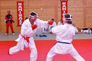 seibukan_OOE_Landesmeisterschaft_2010_097.jpg