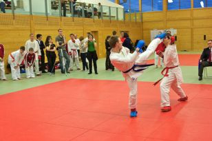 seibukan_OOE_Landesmeisterschaft_2011_095.jpg