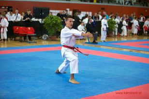 seibukan_Oesterr_Meisterschaft_U12_U21_Wels_2012_023.jpg