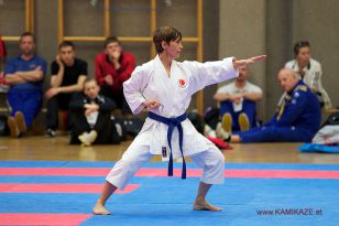 seibukan_Oesterr_Staatsmeisterschaft_und_OEM_in_Wels _2015_039.jpg