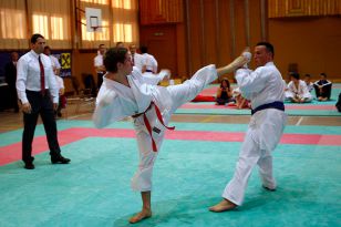 seibukan_Shotokan_Cup_2010_063.jpg