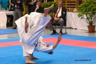 seibukan_Staatsmeisterschaft_Allg_Klasse_2012_070.jpg