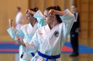 seibukan_Staatsmeisterschaft_Allg_Klasse_2014_049.jpg