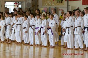 seibukan7_Internationales_Kamikaze_Sommercamp_2015_006.jpg