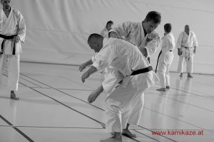 seibukan7_Internationales_Kamikaze_Sommercamp_2015_131.jpg