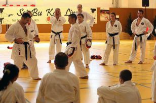 seibukan_1_Kamikaze_Sommercamp_2009_089.jpg