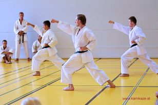 seibukan_5_Intern_Kamikaze_Sommercamp_Neuhofen_2013_212.jpg