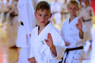 seibukan_5_Intern_Kamikaze_Sommercamp_Neuhofen_2013_215.jpg