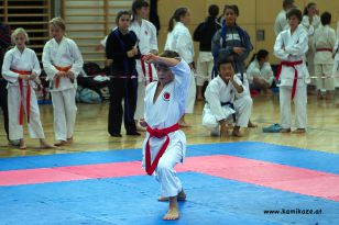 seibukan_Askoe_Bundesmeisterschaft_2011_009.jpg