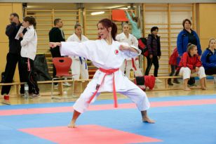 seibukan_Askoe_Bundesmeisterschaft_karnten_2016_034.jpg