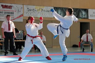 seibukan_Askoe_OOE_LM_Steyr_2012_132.jpg