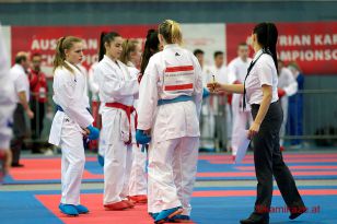 seibukan_Austrian_Championscup_2016_092.jpg