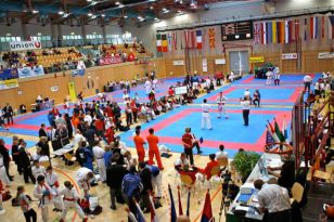 seibukan_Austrian_Junior_Open_2009_000.jpg