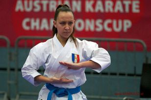 seibukan_Austrian_Karate_Championscup_2015_034.jpg