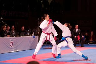 seibukan_Karate1_Premier_League_and_Youth_World Cup_Salzburg_2013_097.jpg