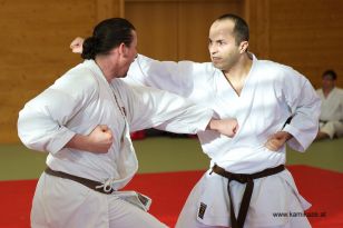 seibukan_Kyu_und_Dan_Pruefung_2013_119.jpg