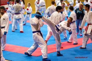 seibukan_Lehrgang_mit_Rafael_Aghayev_2013_038.jpg
