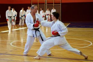 seibukan_OEKB_Tag_Wels_2011_038.jpg