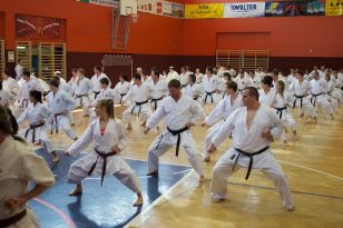 seibukan_OEKB_Tag_Wels_2011_057.jpg
