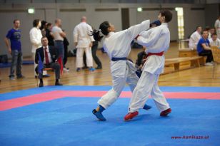 seibukan_OOE_LM_U10_U21_Senioren_Linz_Auhof_2012_113.jpg
