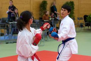 seibukan_OOE_Landesmeisterschaft_2011_094.jpg