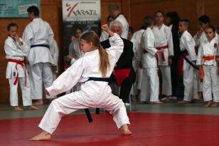 seibukan_OOE_Nachwuchs_und_Landesmeisterschaft_2013_016.jpg
