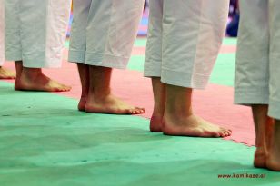seibukan_Oesterr_Shotokan_Meisterschaft_StGeorgen_2012_007.jpg