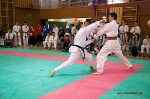 seibukan_Oesterr_Shotokan_Meisterschaft_StGeorgen_2012_042.jpg