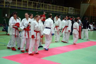 seibukan_Oesterr_Staatsmeisterschaft_2009_012.jpg