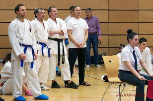 seibukan_Oesterr_Staatsmeisterschaft_und_OEM_in_Wels _2015_115.jpg