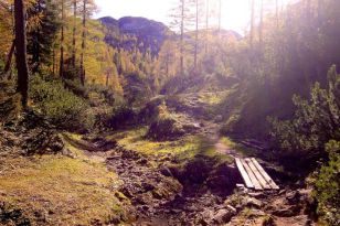 seibukan_Seibukan_Wandertag_2010_023.jpg